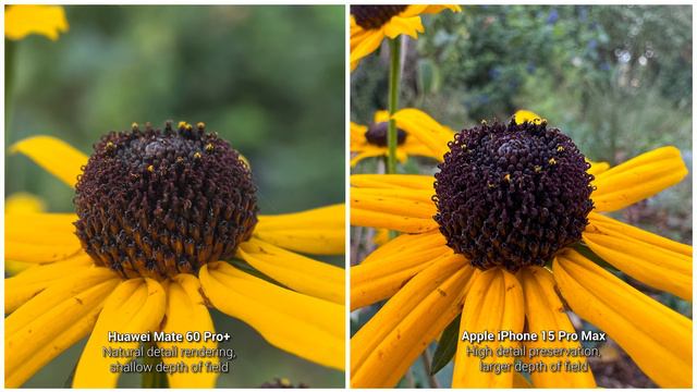 Huawei Mate 60 Pro+ Camera Score Summary | DXOMARK