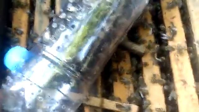 Изолятор Джинн в действии. смотреть онлайн