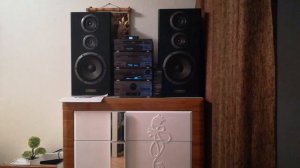 Pioneer CS-5030