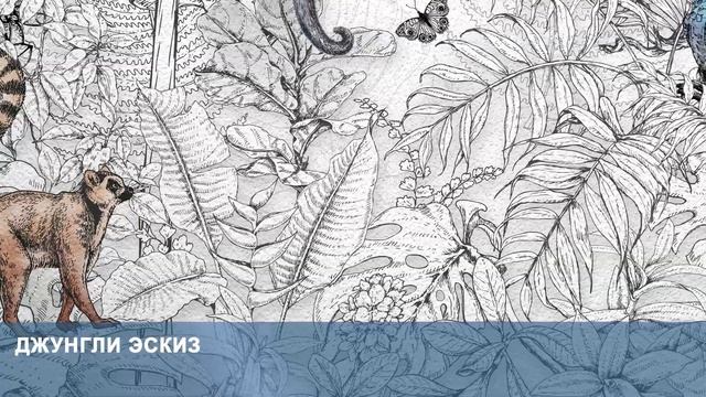 3D Фотообои «Джунгли эскиз» смотреть онлайн