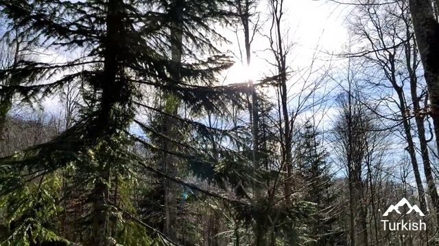 ЭНДУРО Туапсе (говорили что это не возможно) смотреть онлайн