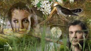 Сергей Михайлов   А кукушка кукует Авт муз клипа Виктор