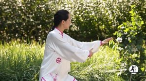 48 Form Tai Chi Demonstration Master Amin Wu 吳阿敏48式太極拳