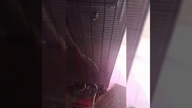 Чинар холодильник замена реле смотреть онлайн