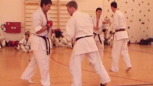 Кю-тест, дан-тест (Пермь, 22 апреля 2007 г.). Часть 3. смотреть онлайн