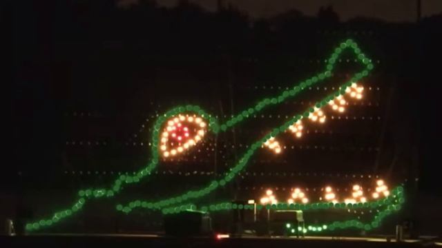 (Trace Sketch) Crocodile - WDW Electrical Water Pageant смотреть онлайн