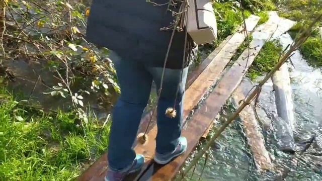 Ручьи Кипарисового озера Сукко в декабре смотреть онлайн