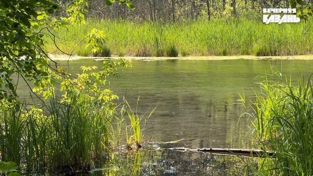 Что сделали с Голубым озером в Казани? Последствия реновации смотреть онлайн
