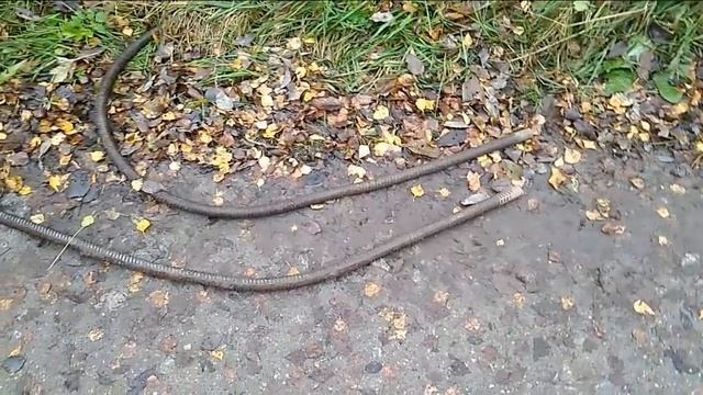 забираю клондайк снова неудача смотреть онлайн