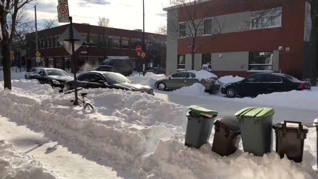 Hector Breus - Vignette VIII