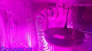 Гроубокс с LED светом. Гроубокс своими руками, led свет