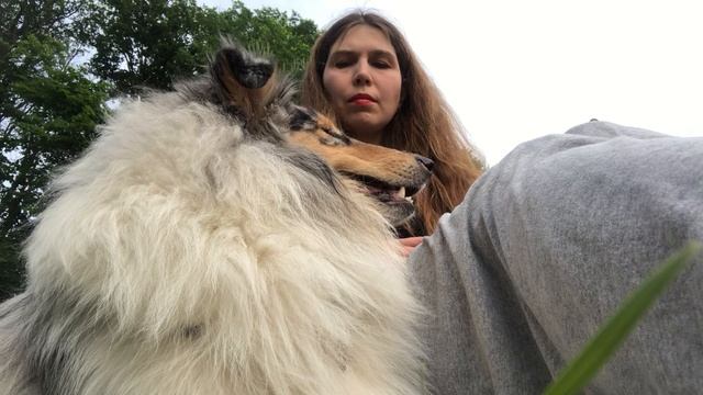 Пробовали протокол расслабления на людном пляже смотреть онлайн