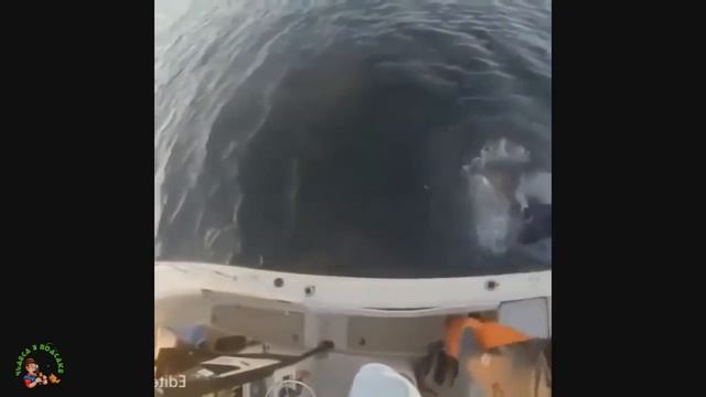 Приколы на рыбалке до слез. Убойная рыбалка 2022. The Ultimate Fishing Videos Compilation смотреть онлайн