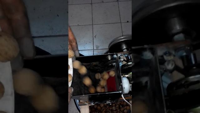 Редукторный орехокол ОК-3ЭВР. СУПЕР. смотреть онлайн