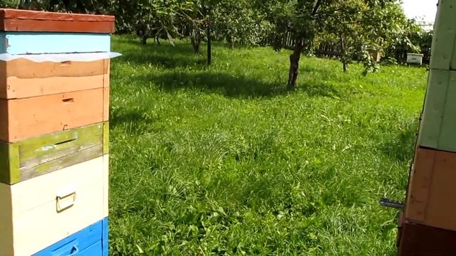 Как влияет  расстояние до медоносов