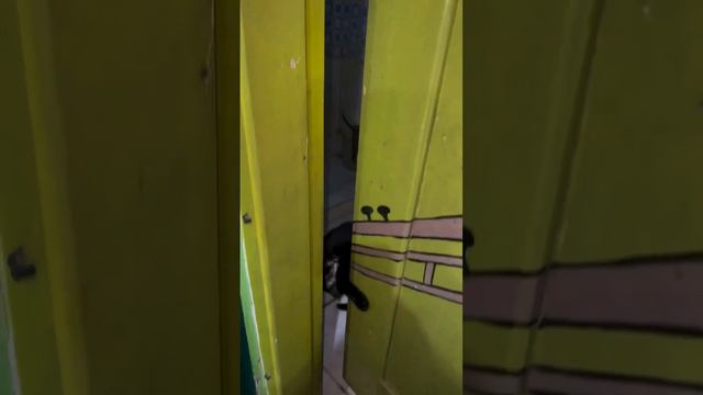 #meme #memes смотреть онлайн