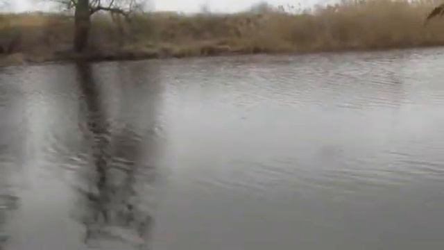 КАРАСЬ КЛЮЕТ ДАЖЕ В ПЛОХУЮ ПОГОДУ! смотреть онлайн