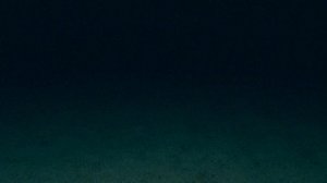 Голубая Планета: Моря Жизни 2 серия «Бездна» (документальный сериал, 2001)