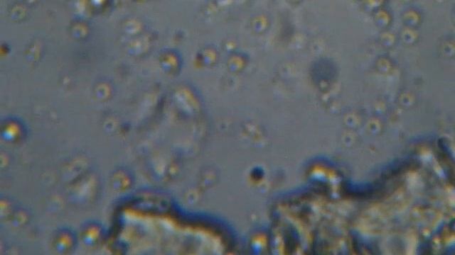 вода из под крана смотреть онлайн