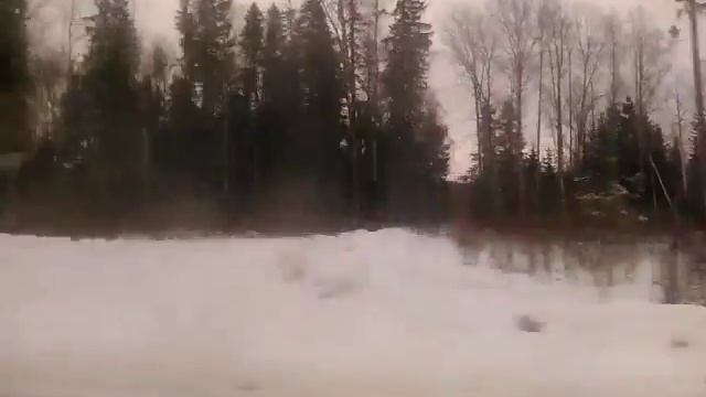 Маленький фрагмент как природа влияет на лес смотреть онлайн