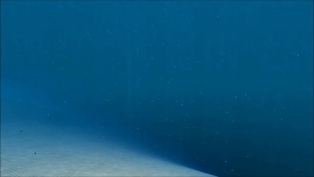Subnautica v19772 and Sparse Reef Biome смотреть онлайн