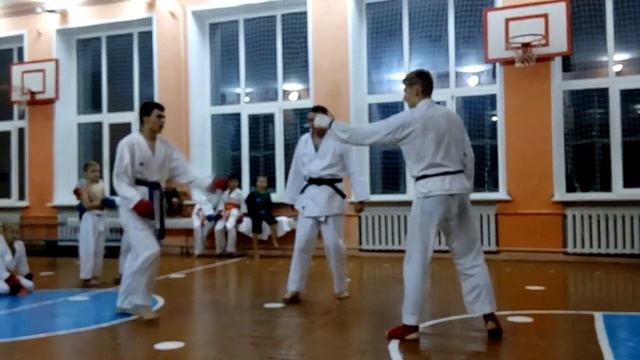 Каратэ-до шотокан спарринг (кумитэ). смотреть онлайн