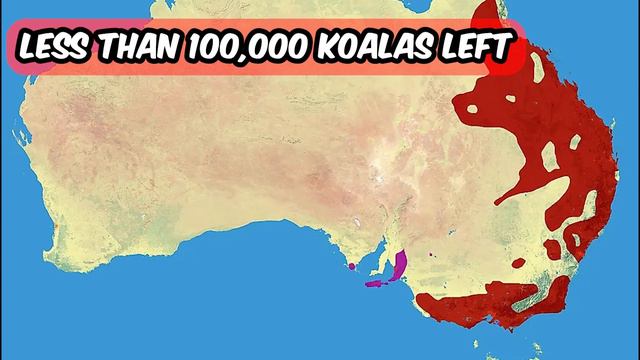Where Do Animals Live? | Fun with Maps смотреть онлайн