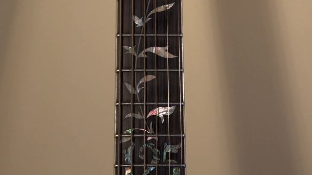 Washburn 125th Anniversary Acoustic Guitar смотреть онлайн