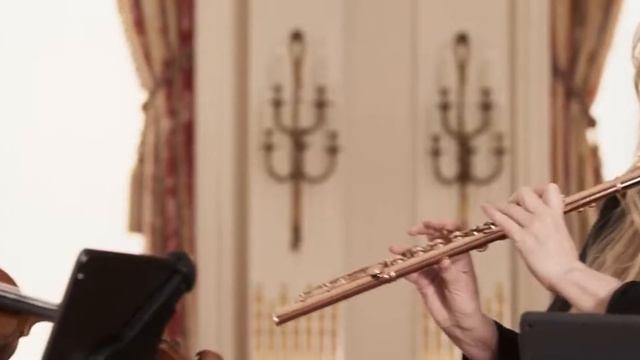 Beethoven Serenade in D Major, Op. 25 for flute, violin, viola | 1st Movt | Emerald City Music смотреть онлайн