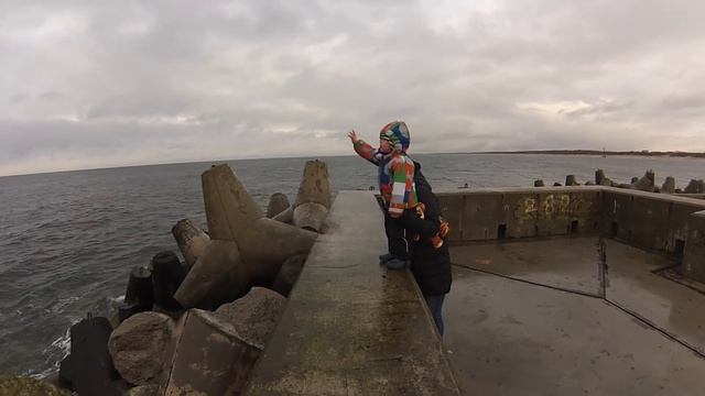 ?? Балтийск. День 2. Опасные лебеди