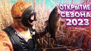 ПОДВОДНАЯ ОХОТА ВЕСЕННИЕ САЗАНЫ 2023 года.
