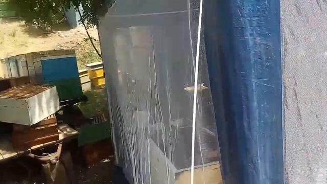 Пчелы! Откачка мёда из Липы! 26 июня смотреть онлайн