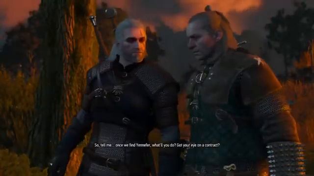The Witcher 3 ( Stream : High Quality NVIDIA Ge Force GTX 1660 SUPER) смотреть онлайн