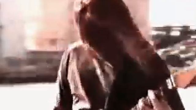 obituary - don't care смотреть онлайн