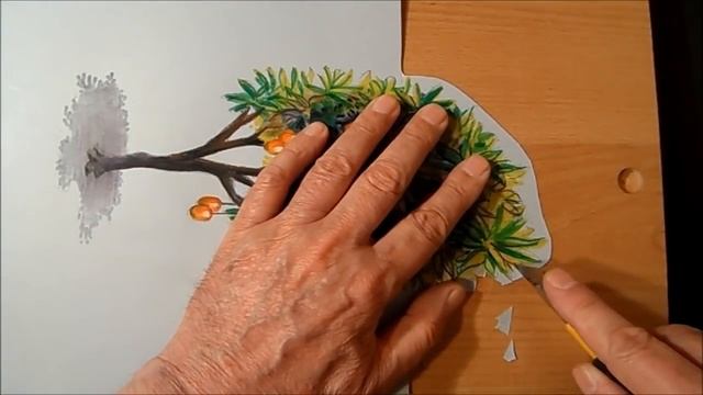 3d Mango Tree Drawing - Trick Art On Paper смотреть онлайн
