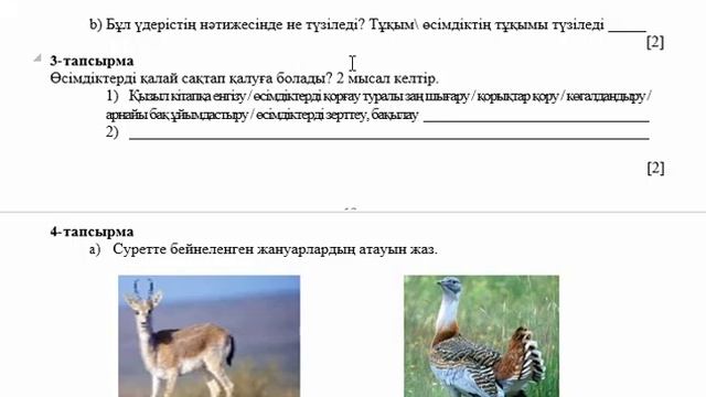 4 сынып Жаратылыстану ТЖБ 1-тоқсан смотреть онлайн