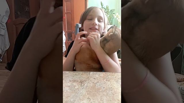 Персик не даёт чистить зубы. смотреть онлайн