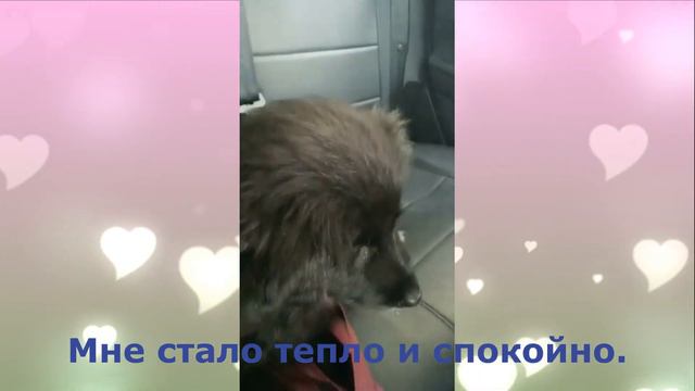 24 января 2022 г. смотреть онлайн