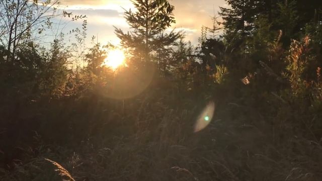 iPhone 7 Plus Camera Test - Incredible 4K Video! смотреть онлайн