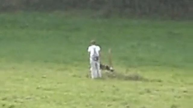 Corpus Delicti Nirreterrit - smooth collie tracking смотреть онлайн