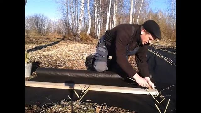 посадка лозы смотреть онлайн