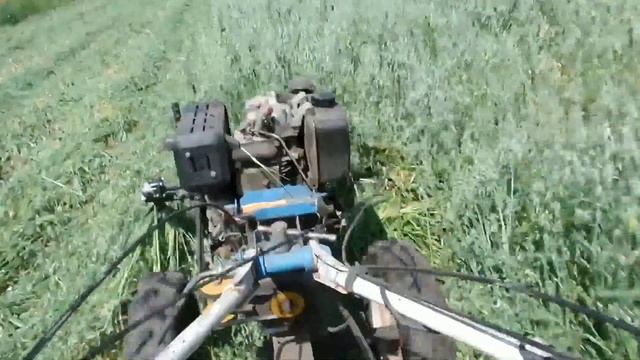 Покос вико - овсяной травы смотреть онлайн