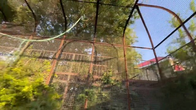 Капик ЗАЩИЩАЕТ Олега Зубкова и ластится к нему как ребенок! смотреть онлайн