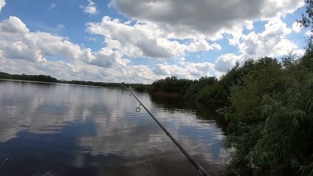 Дневники начинающего спиннингиста | Поплавки и Спиннинг #GoProHero7Black смотреть онлайн