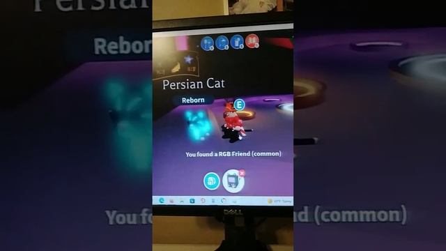 opening an rgb box in adopt me смотреть онлайн
