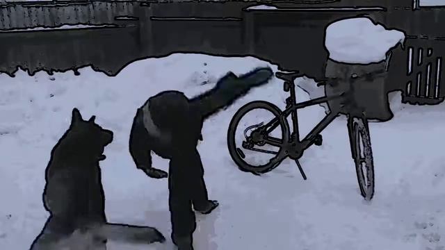 Танец велосипедиста =) смотреть онлайн