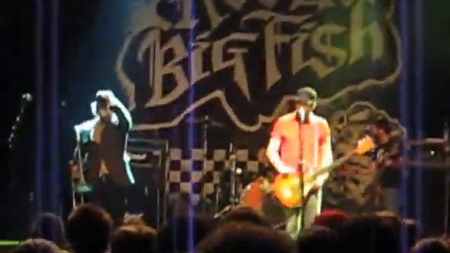 Reel Big Fish - The Ska Dance (tyrol, Stockholm, Sweden)