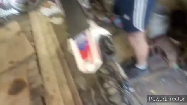 Обзор на BSE DX 125