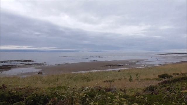 Вот это зум так зум смотреть онлайн