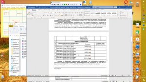 Заявление Внесудебное Банкротство пенсионеров и всех с долгами более 7 лет. Как все заполнять!